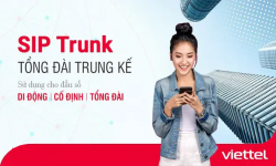Trung Kế E1 Viettel